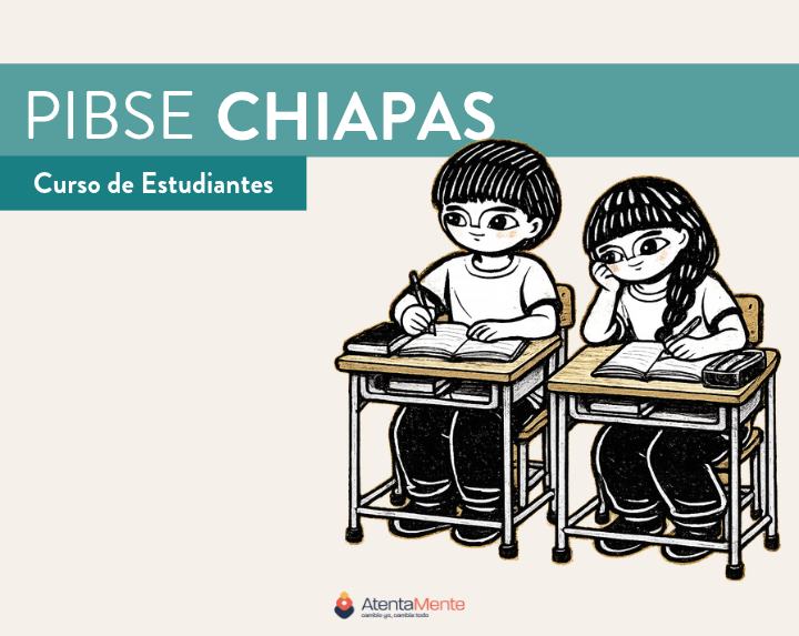 PIBSE Estudiantes CC204